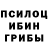 Псилоцибиновые грибы Psilocybine cubensis MirINFO Novikov