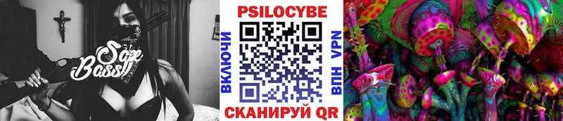 купить наркотик  Щучье  Галлюциногенные грибы Magic Shrooms 
